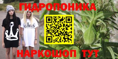 эйфоретик Кулебаки