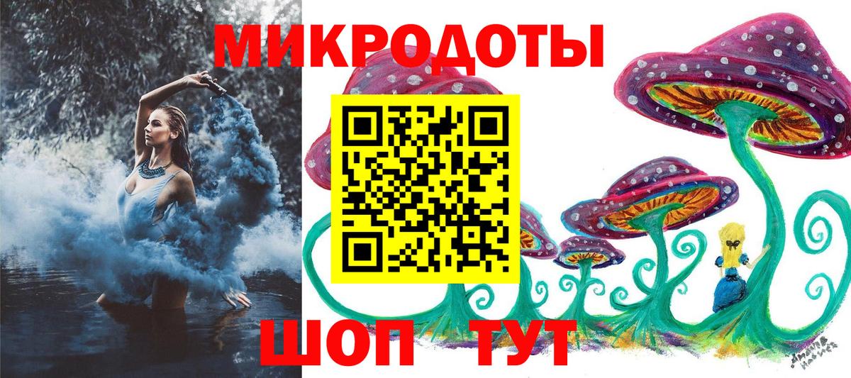 Галлюциногенные грибы Psilocybine cubensis Гудермес
