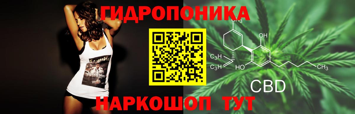 Шишки марихуана THC 21%  Бошки Шишки THC 21%  Вход с VPN  Гудермес 